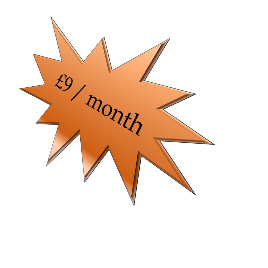 Only £9 per month for a website for your small business